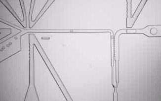 How single cell sorting works