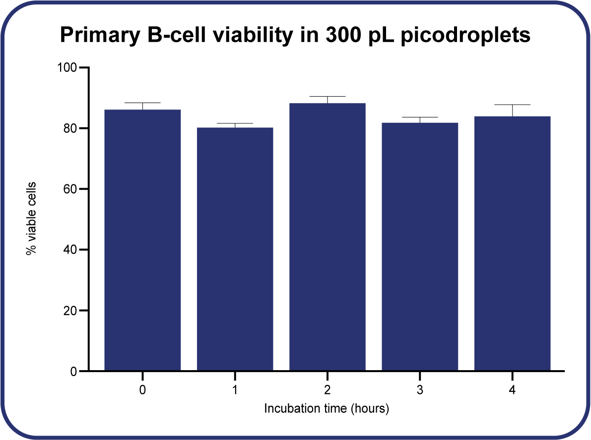 Primary B cell viability over four hours
