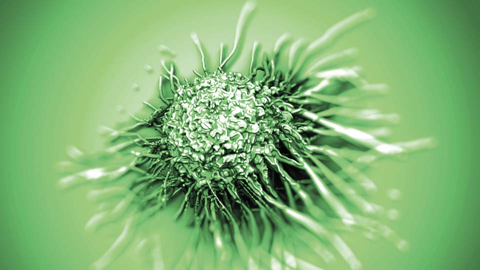 Cancer cell